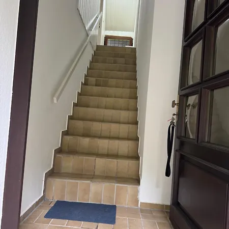 Lexuan Tam Guest house *