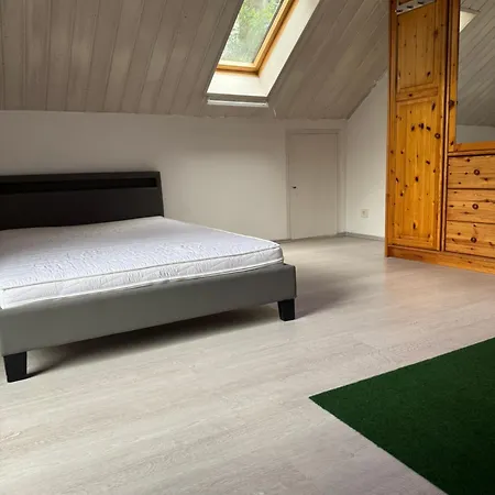 Guest house Lexuan Tam